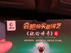 -《驼铃传奇》秀