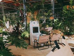 -悦见花开·花园里的火锅·露营·下午茶