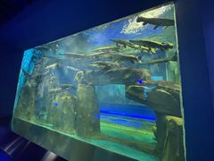 -石家庄海洋公园