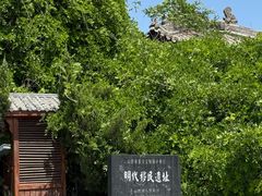 -大槐树寻根祭祖园
