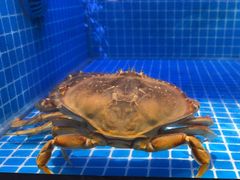 -大鹏饭店·金陵家宴(奥体中心店)