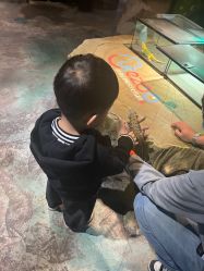 -酷嗒动物文化乐园(cutezoo西溪乐天城店)