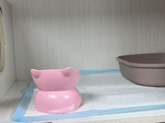 -博特宠物医院24h犬猫全科.骨科·异宠