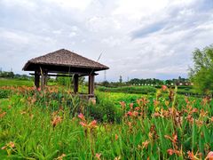 -那考河湿地公园