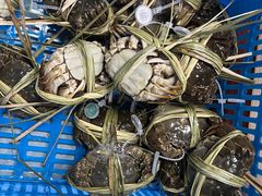 -蟹状元大闸蟹·年货·粽子(成都成华店)