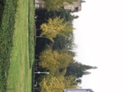 -四川大学(望江校区)