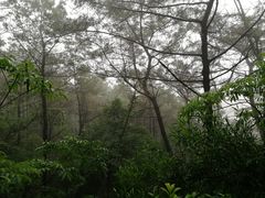 -仙岳公园