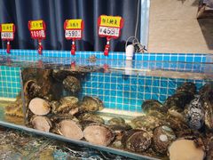 -韩记海鲜饺子旗舰店(红海新区店)