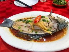 -先鲜鲫鱼粥