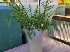 -探窝·竹笙椰子鸡(杨箕店)