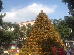 -水乡人家私房菜(逢简店)