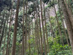 -雁荡山大龙湫景区