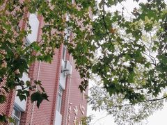 -上海市徐汇区第一中心小学