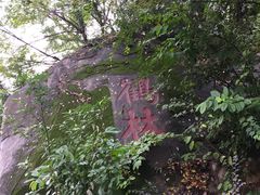 鹤林-牛岗山公园