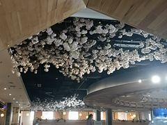 -星河湾温泉洗浴酒店