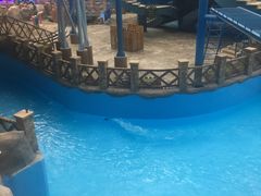 -青岛东方影都融创水世界