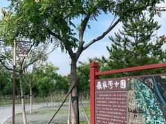-张家湾公园