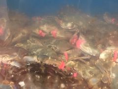 -宾朋海鲜特色美食餐厅·纯手工鲅鱼水饺(兴海路店)