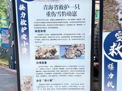 -青藏高原野生动物园