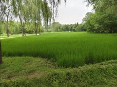-北坞公园