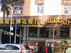 -新疆红柳花餐厅(新洲店)