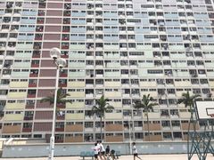 -彩虹村