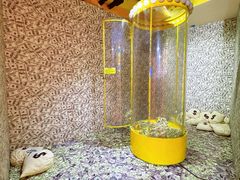 -不可思议减压馆·解压博物馆·摔碗发泄·团建定制