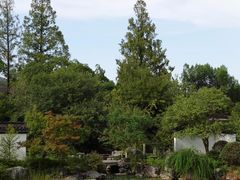 -杭州植物园
