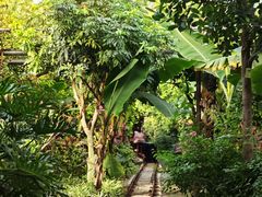 -呀路古热带植物园