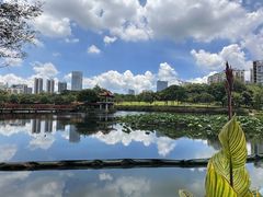-深圳龙潭公园