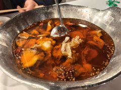 -沸腾鱼乡(知春路分店)