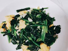 -金贝儿月嫂(高新尚品国际店)