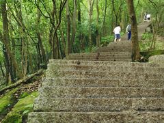 -紫金山山顶公园