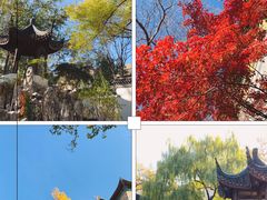 -君庭中餐厅(友谊宾馆店)
