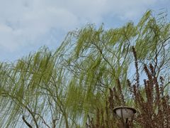 -元大都城垣遗址公园
