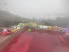 -天目湖涵田半山温泉水乐园