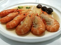 -圆苑(静安寺店)