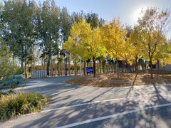 -马家湾湿地公园