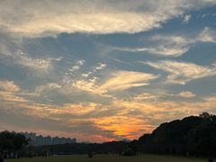 -昆山城市生态森林公园