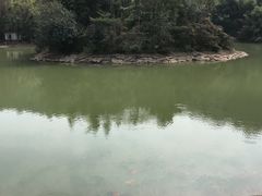 -滴水岩森林公园