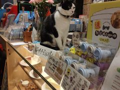 -猫的天空之城概念书店(杭州南宋御街店)