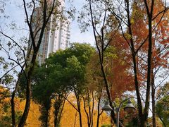 -后襄河公园