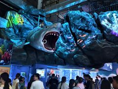 -海合安成都极地海洋公园