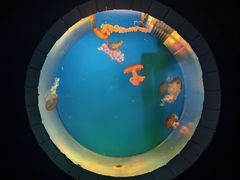 -南昌海洋公园