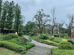 -铁山坪森林公园