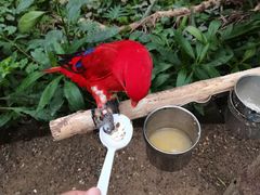 -南宫五洲植物乐园