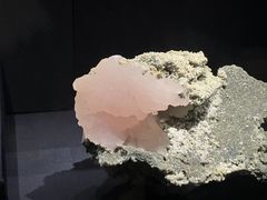 -山东博物馆