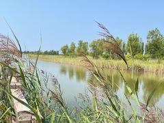 -野鸭湖国家湿地公园