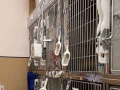 -瑞派康怡24h宠物医院·犬猫医疗中心·微创绝育(瑞景分院)