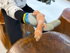 -上海昆虫博物馆